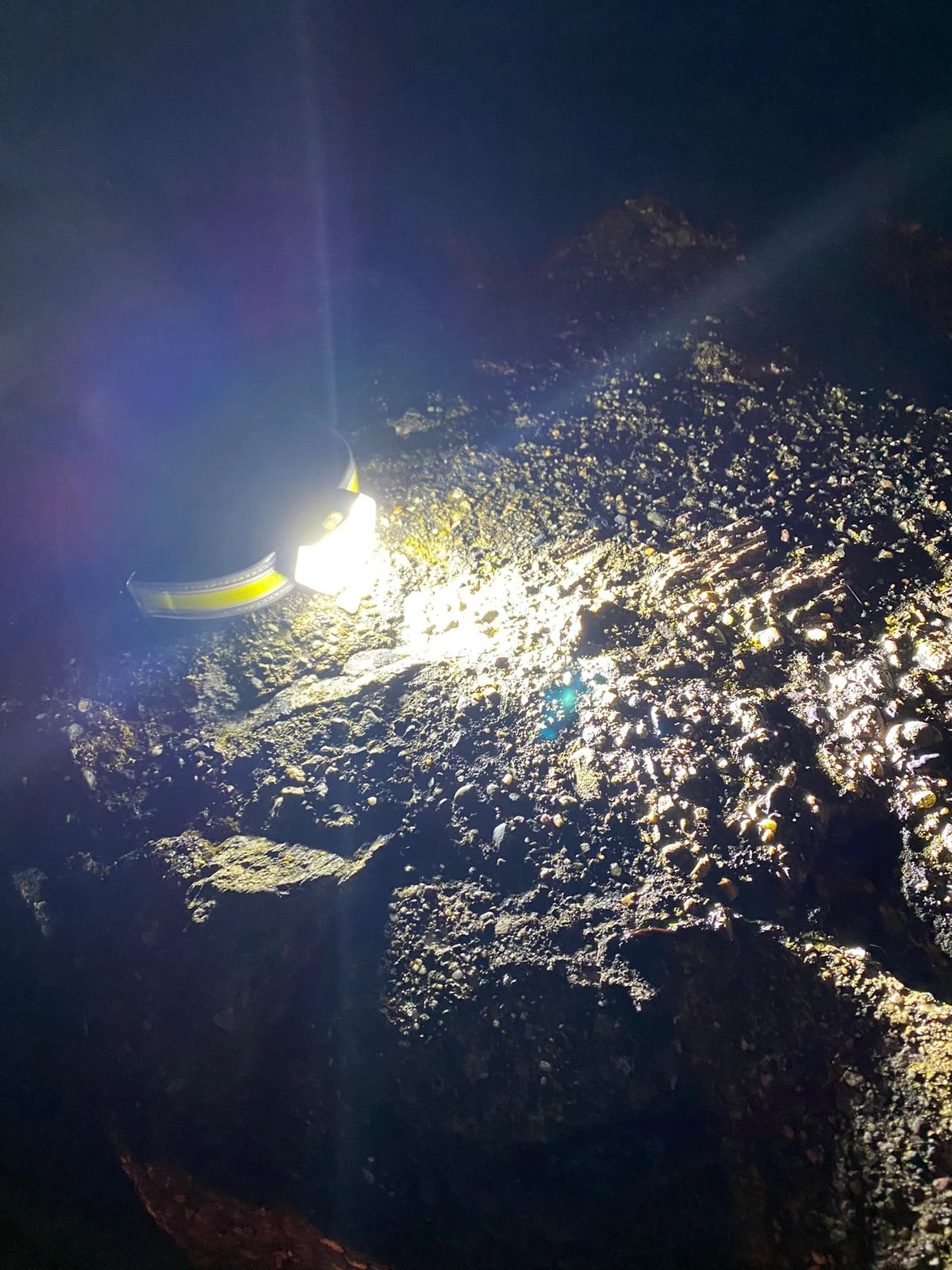 PAO LumenMAX Hunter Headlamp - Image 6