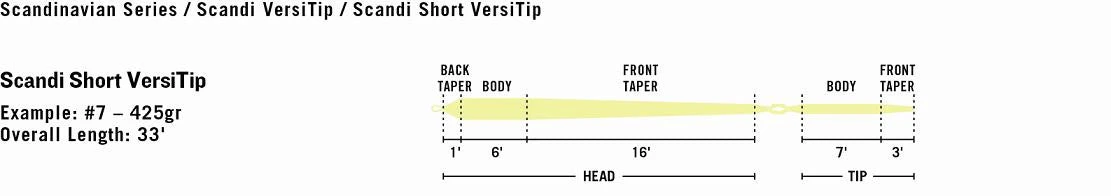 Rio Scandi Short VersiTip Head & Leaders - Image 4